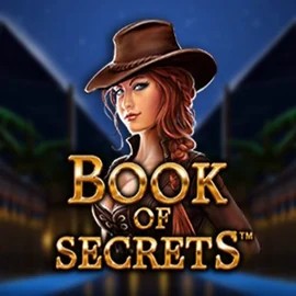 Play Book of Secrets slot by SYNOT Games on verdekaszino.org
